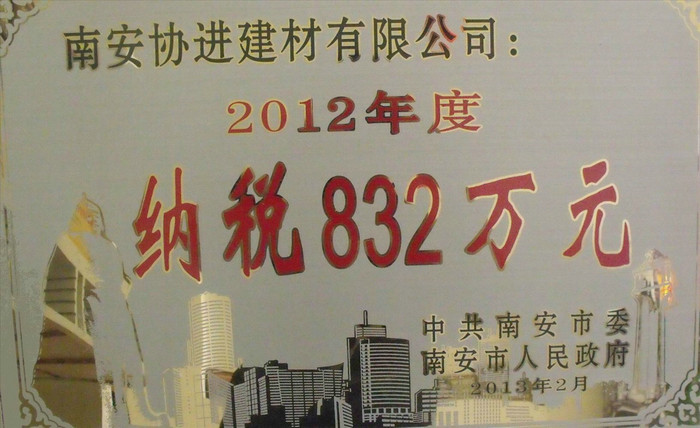 2012年度纳税证明（2013年颁发）